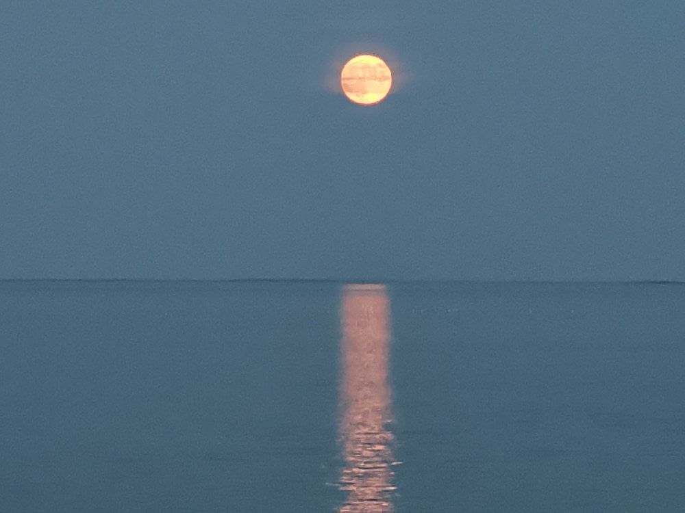 Big Basswood Lake Cottage For Sale Dean Gibbons