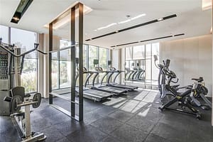 1255 bayly gym